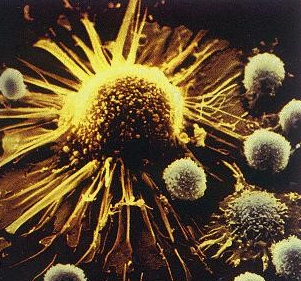 生命科技前沿的領(lǐng)航者 專注于人體干細(xì)胞技術(shù)開發(fā)與應(yīng)用的企業(yè)簡(jiǎn)介